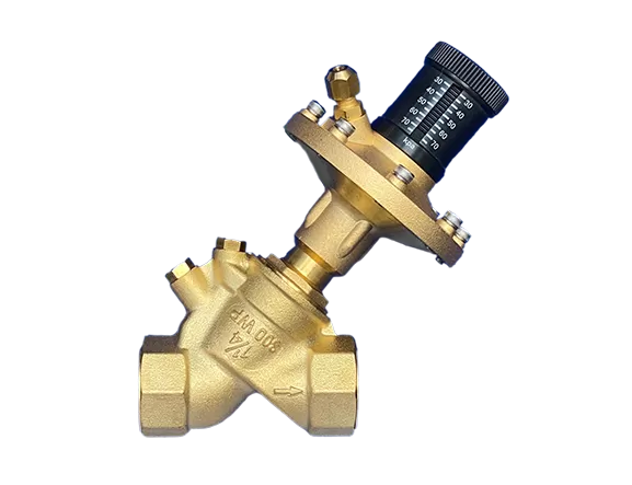 Differential Pressure Valve